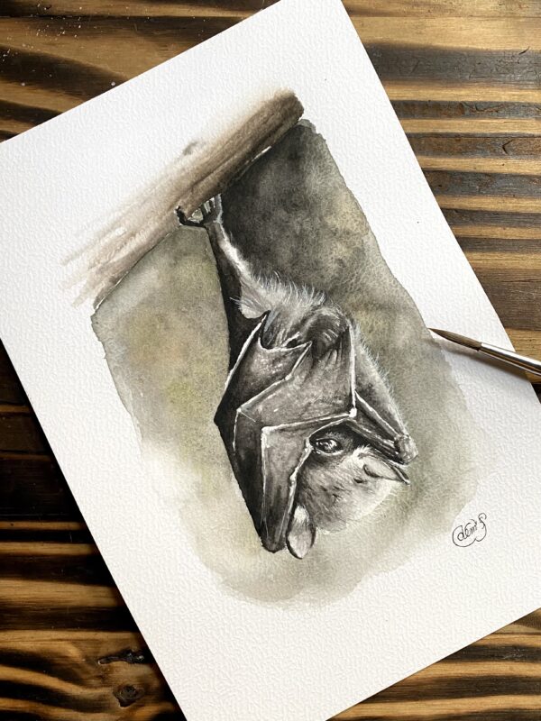 Chauve-souris